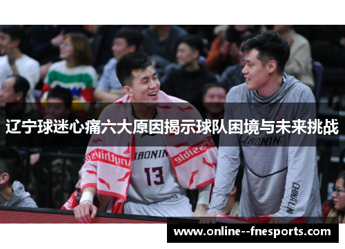 辽宁球迷心痛六大原因揭示球队困境与未来挑战